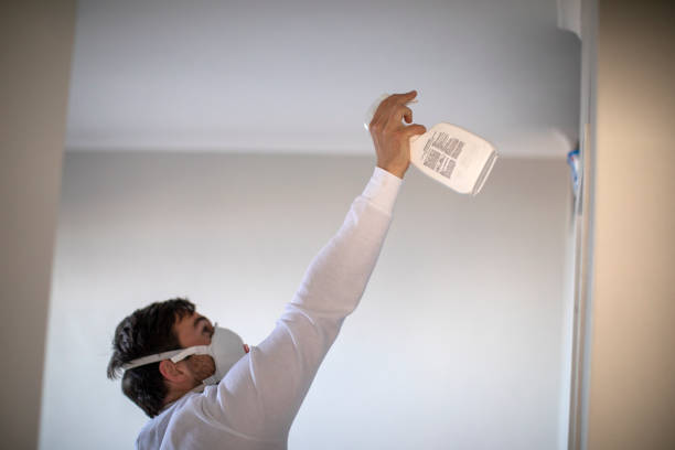 Best Mold Remediation for Specific Building Types in Sisters, OR