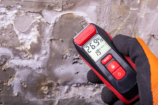 Best Localized Mold Remediation (e.g., coastal areas, humid climates) in Sisters, OR