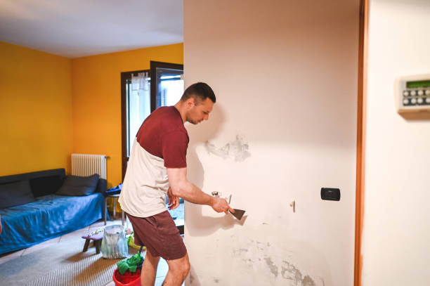 Best Black Mold Remediation in Sisters, OR